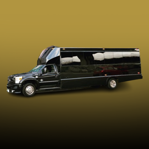 Mini Bus